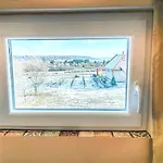 Ezüstfenyő * Balatonalmádi