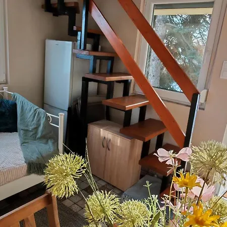 Ezuestfenyo Vendeghaz Apartment Balatonalmadi