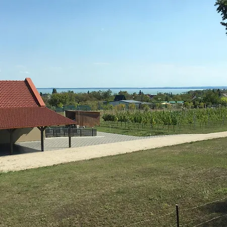 Ezuestfenyo Vendeghaz Apartment