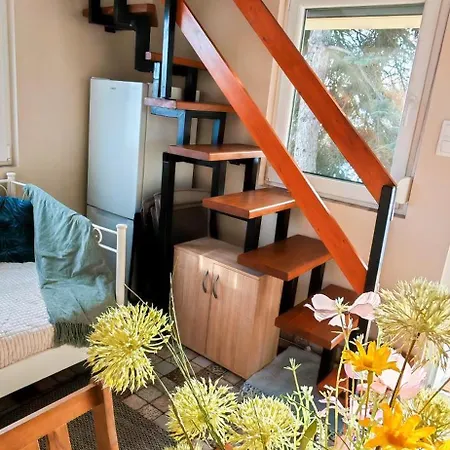 Ezuestfenyo Vendeghaz Homestay *