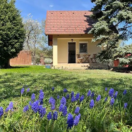 Ezuestfenyo Vendeghaz Homestay